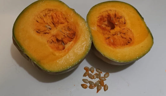 Bangladeshi sweet pumpkin