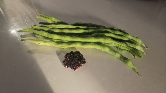 (Lubi Uri) Chinese long beans